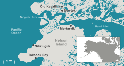 map-newtok_0